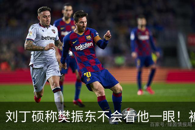 刘丁硕称樊振东不会看他一眼！被质疑以德报怨：2次公开落井下石
