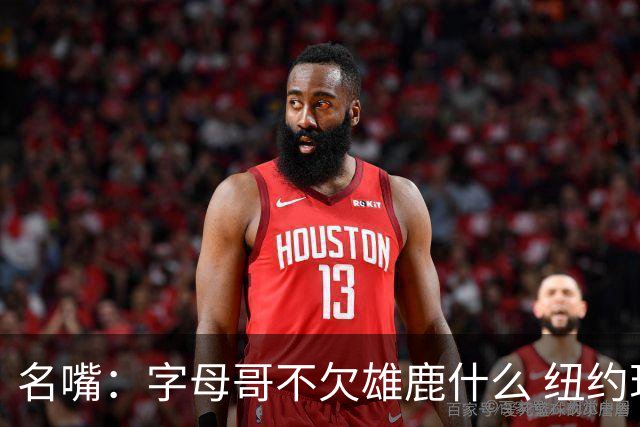 名嘴：字母哥不欠雄鹿什么 纽约现在渴望冠军