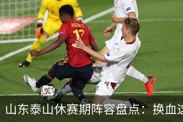 山东泰山休赛期阵容盘点：换血这道大题