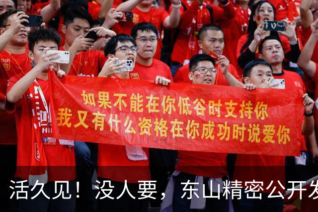 活久见！没人要，东山精密公开发售仅认购0.39倍？A股3个月闪崩62%