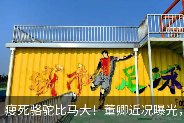 瘦死骆驼比马大！董卿近况曝光，出门坐高级保姆车，豪门梦没破碎
