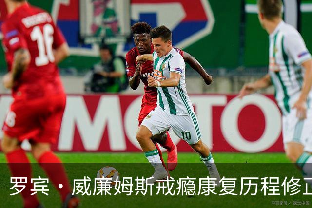 罗宾·威廉姆斯戒瘾康复历程修正