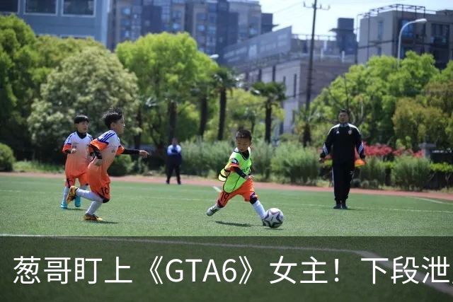 葱哥盯上《GTA6》女主！下段泄露将放全裸4K视频