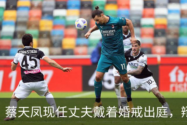 蔡天凤现任丈夫戴着婚戒出庭，辩方律师当场追问：你和亡妻的前夫是不是恋人关系