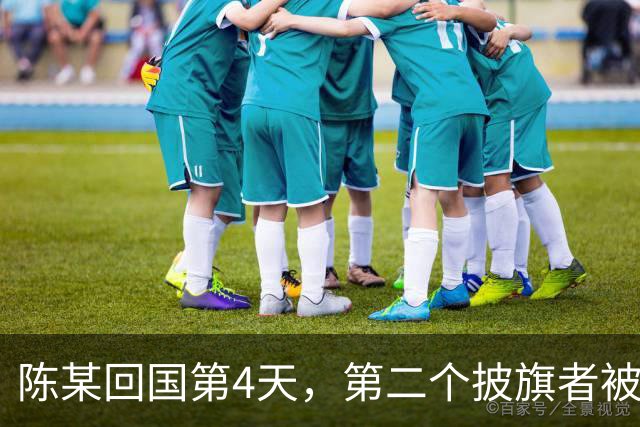 陈某回国第4天，第二个披旗者被揪了出来，现形后想销号跑路