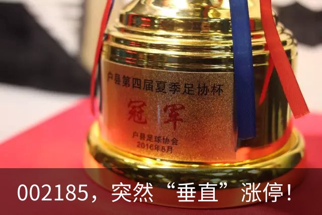 002185，突然“垂直”涨停！