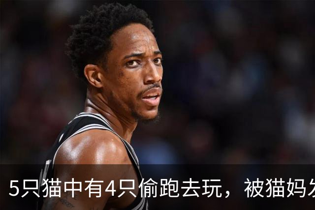 5只猫中有4只偷跑去玩，被猫妈发现后轮番揍，网友：一眼就看出谁没去哈哈！